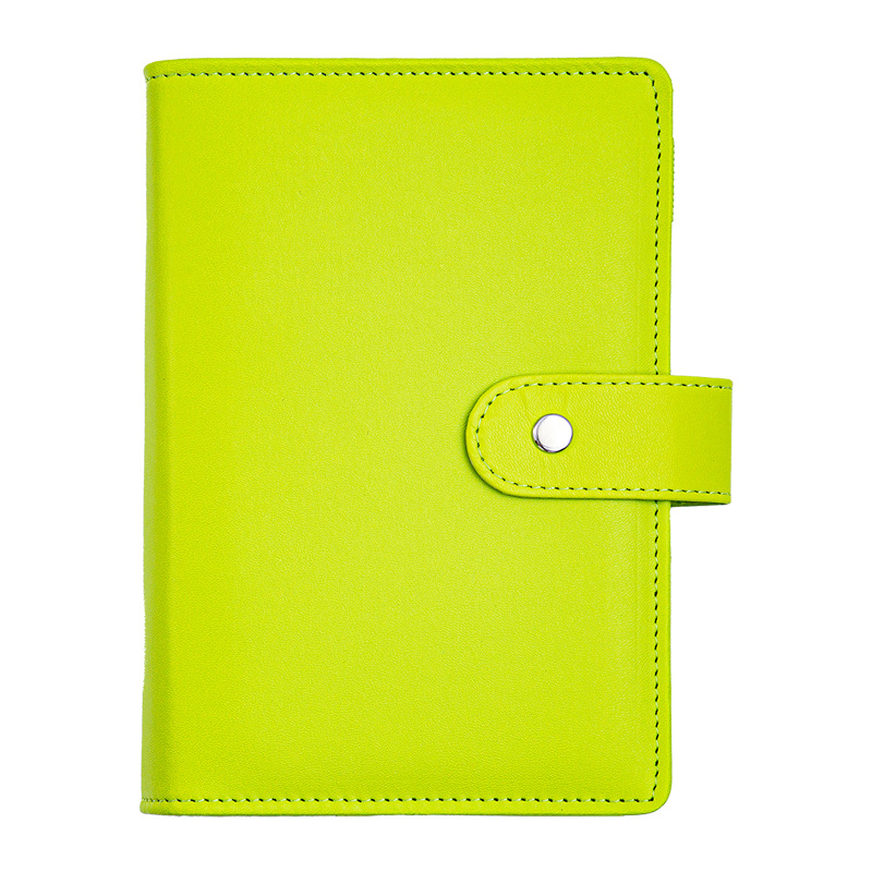 Concha única verde