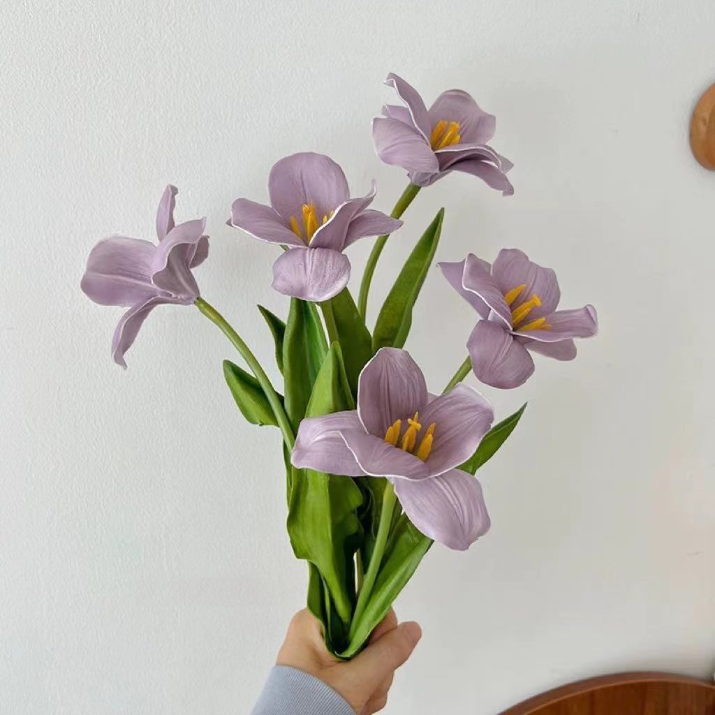 Ensemble 5 pièces Blooming Tulip Taro Violet