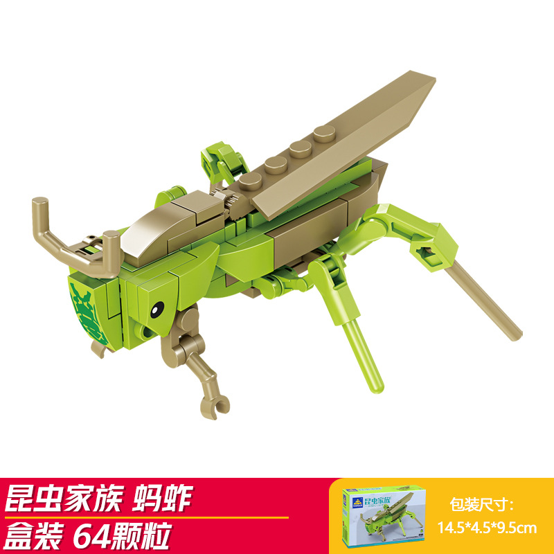 Saltamontes-kai zhi 80041-2