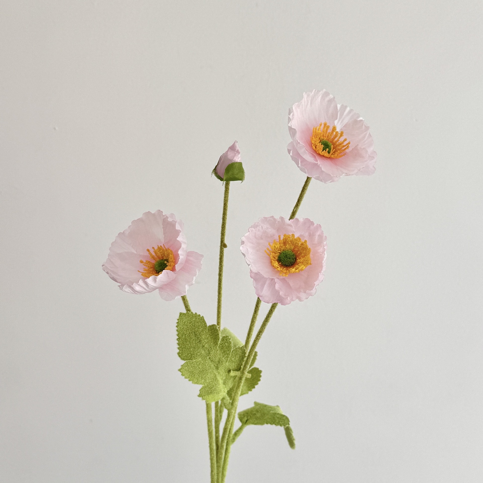 Tutto rosa