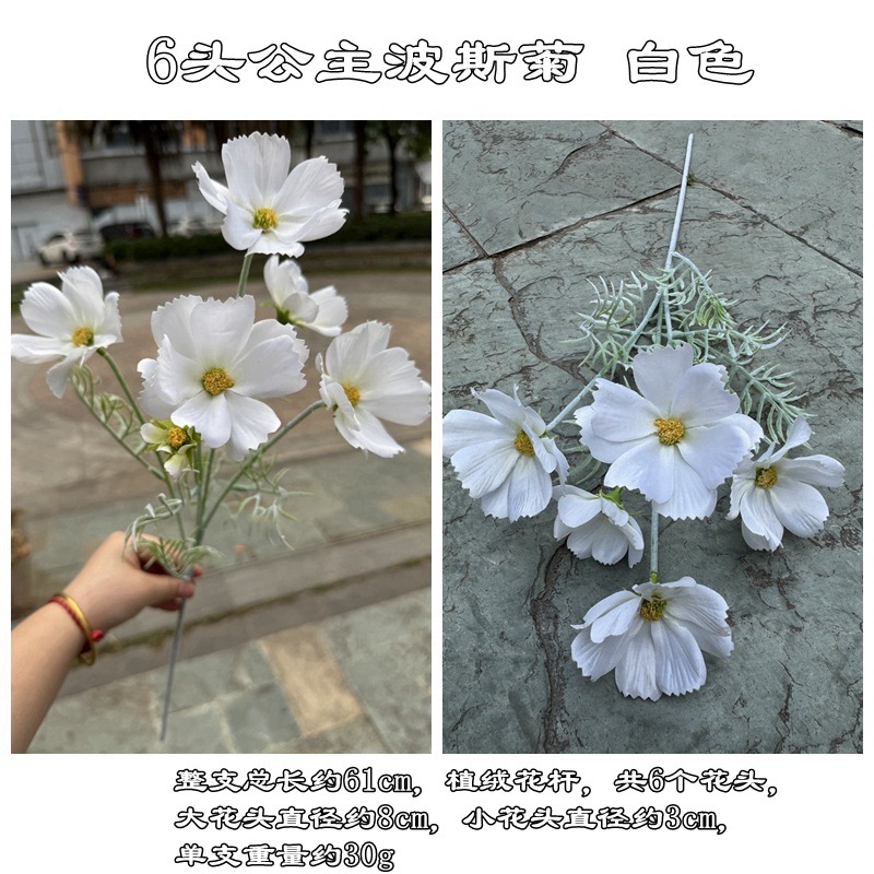 6 cabezas princesa cosmos blanco