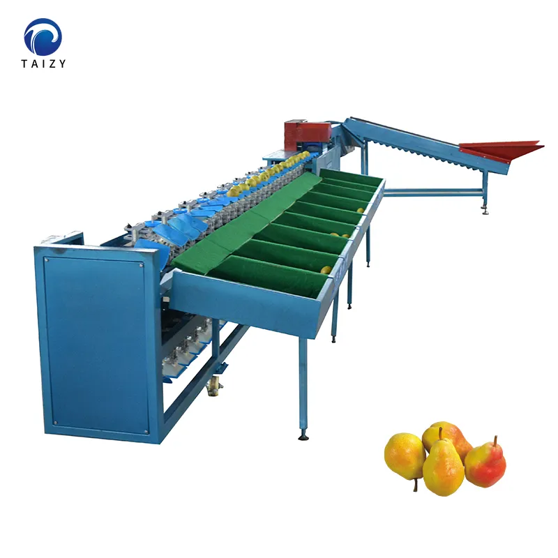 Automatique Apple Orange Tomate Avocat Classificateur De Pommes De Terre Machine De Tri De Fruits