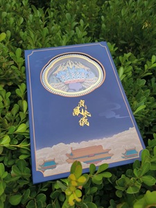 NEU 3D Stereo scopic Hollow Note zum Stempeln Carving Book Kunden spezifische Notizbücher im chinesischen Stil für Schulen Niedliche Farbe für Mädchen