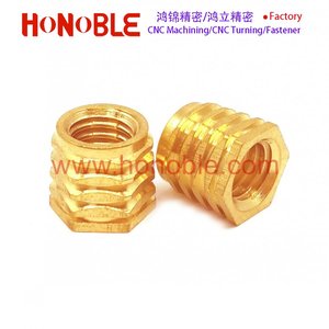 Multisert basın pirinç ekle, sıcak pres ek parça somunları - Product Image 4