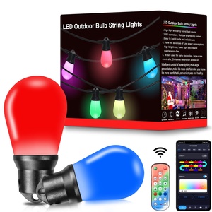 Factory Direct Sale 12v 24v OEM IP67 Waterproof <strong>Led</strong> Christmas <strong>Light</strong> <strong>String</strong> <strong>Led</strong> Bulb Outdoor <strong>String</strong> Lighting - Product Image 1