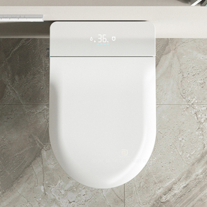 Otel geri duvara monte elektrikli akıllı otomatik tuvalet banyo seramik duvar asmak akıllı tuvalet