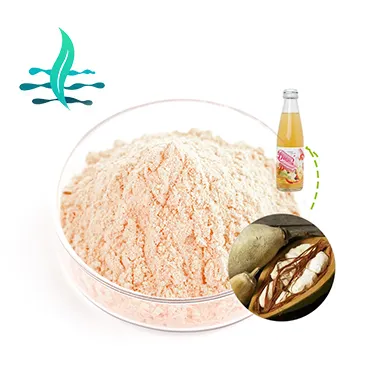 Hot Sale Organic Baobab Fruit Powder Baobab Powder