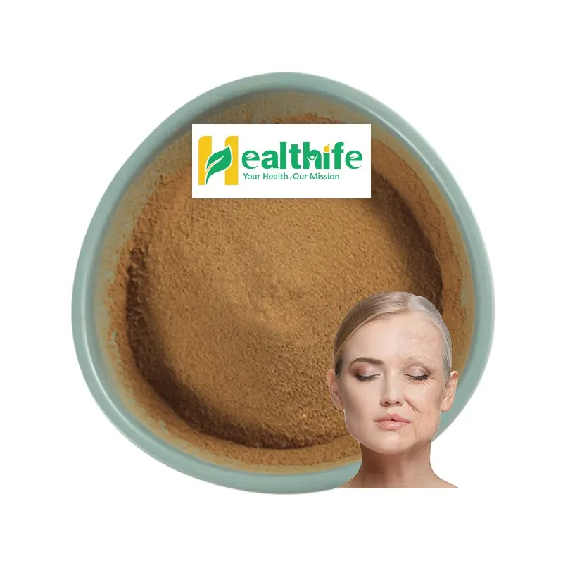 Wholesale 10:1 Betel Nut Extract Powder Areca Catechu Extract