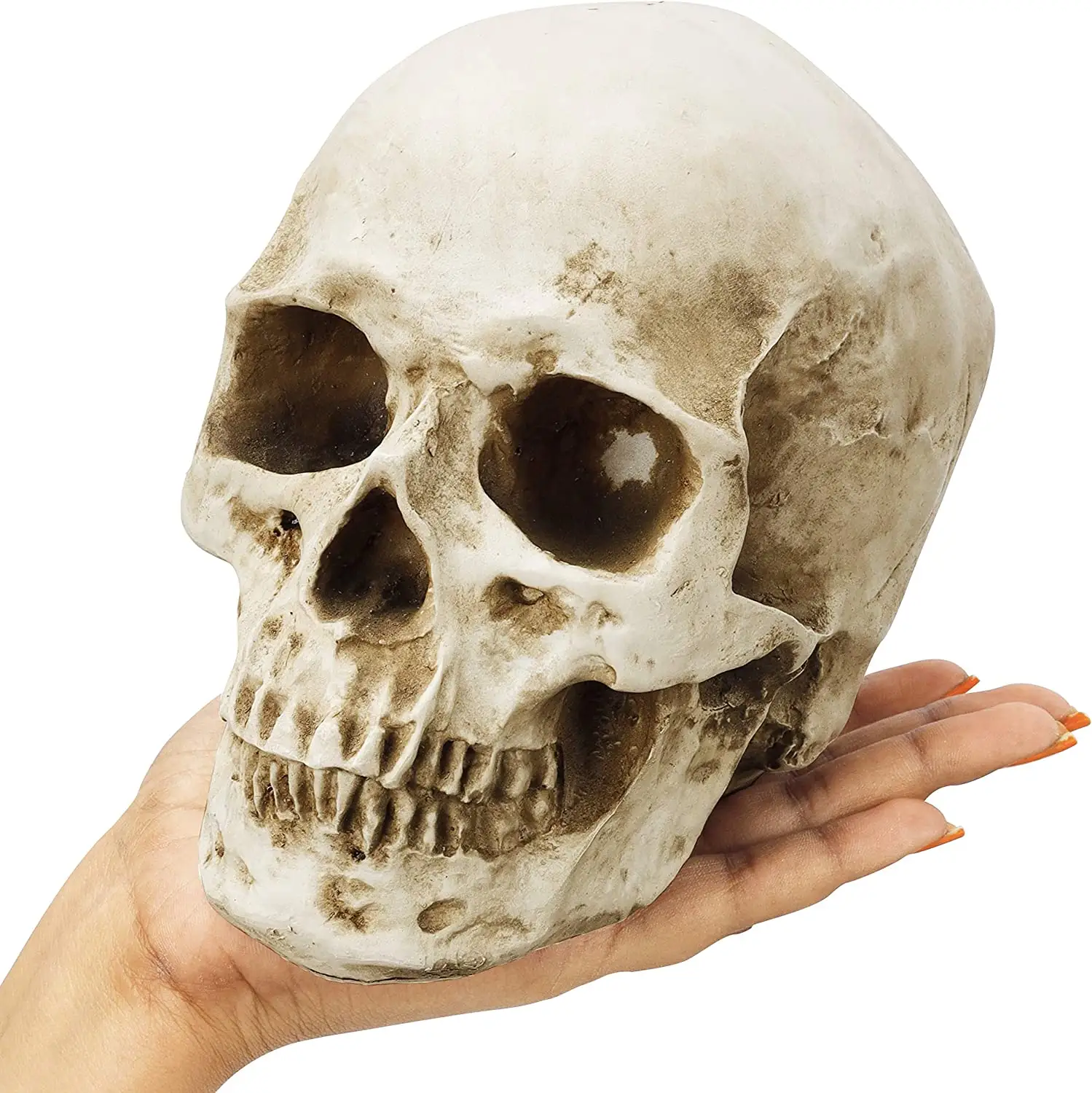 Estatua de cráneo humano Simple personalizada de resina, decoración de escritorio para Halloween, Regalos divertidos, escultura de calaveras, venta al por mayor