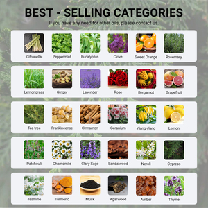 Free Samples <strong>Cypress</strong> Essential <strong>Oil</strong> for Diffuser 100% Pure Natural <strong>Cypress</strong> <strong>Oil</strong> for Candle Making Aromatherapy Refresh Air - Product Image 4