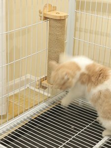 カスタム猫のおもちゃスクラッチポスト