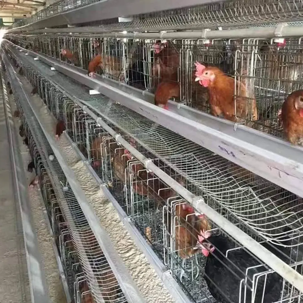 Best Quality Good Price Egg Laying Hens Farming Chicken Layer Battery Cage for Sale