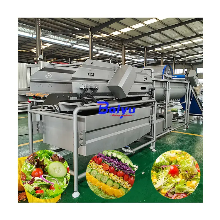 Baiyu Eddy Current Vegetable Fruit Washing Machine Restaurants Processing Plants Carrot Washer Core Bearing Competitive Price