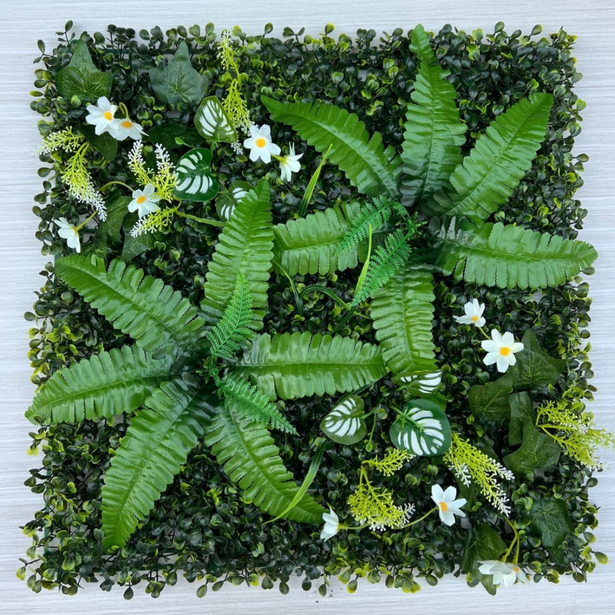 Milán pastoral 5050cm