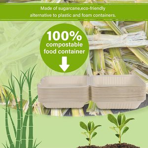 100% Compostable tek kullanımlık konteynerler 8X8 "kapaklı gıda şeker kamışı Bagasse kapaklı yemek kabı çıkar