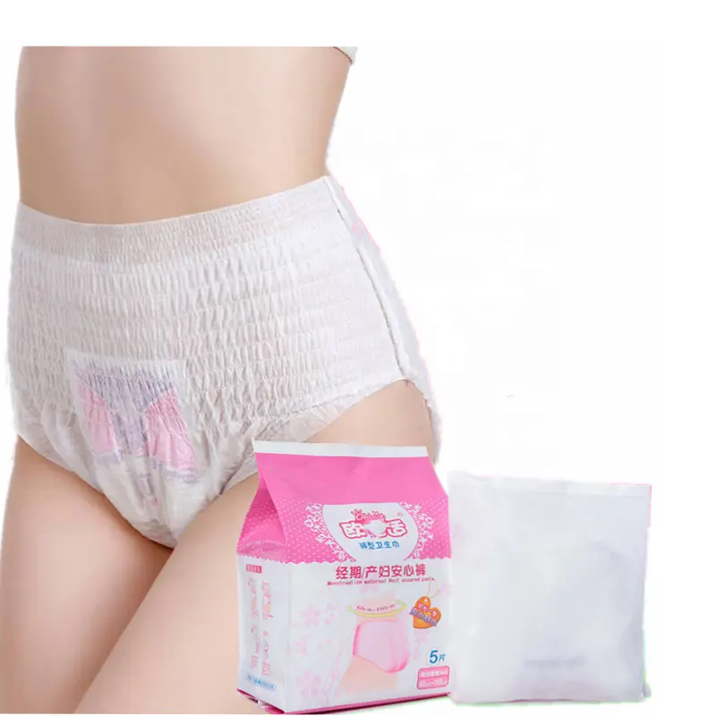 Kadın tek kullanımlık menstruasyon külot kadın gecede adet pantolon peçete