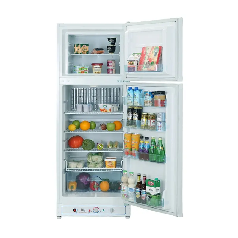 Réfrigérateur à Double porte avec gaz Propane, portable au gaz naturel, pour usage domestique
