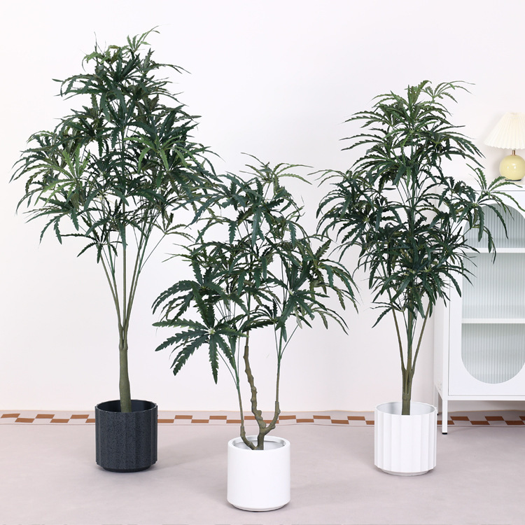 Faux aralia vert
