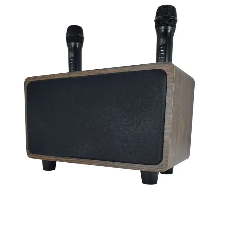 Hifi Karaoke Stereo Bluetooth Verbinding Met Microfoon Bieden Optische, Tv Audio Retour, Bluetooth En Aux-In Voor Meer Opties