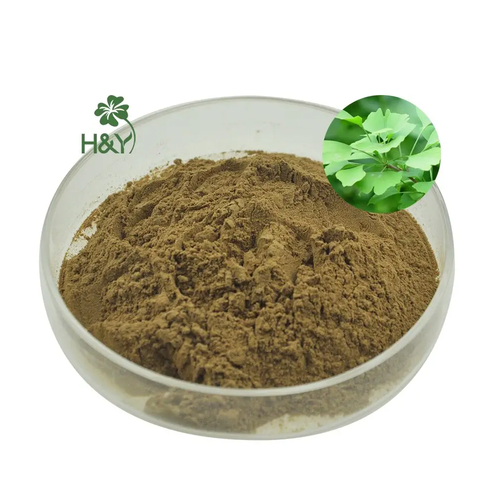 Healthway Supply Nature Herbal Factory Supply estratto di foglie di Ginkgo Biloba
