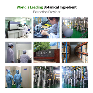 Produttore NMN prezzo all'ingrosso CAS 1094-61-7 Beta <span class=keywords><strong>Nicotinamide</strong></span> <span class=keywords><strong>Mononucleotide</strong></span> 99.9% liposoma NMN in polvere - Product Image 6