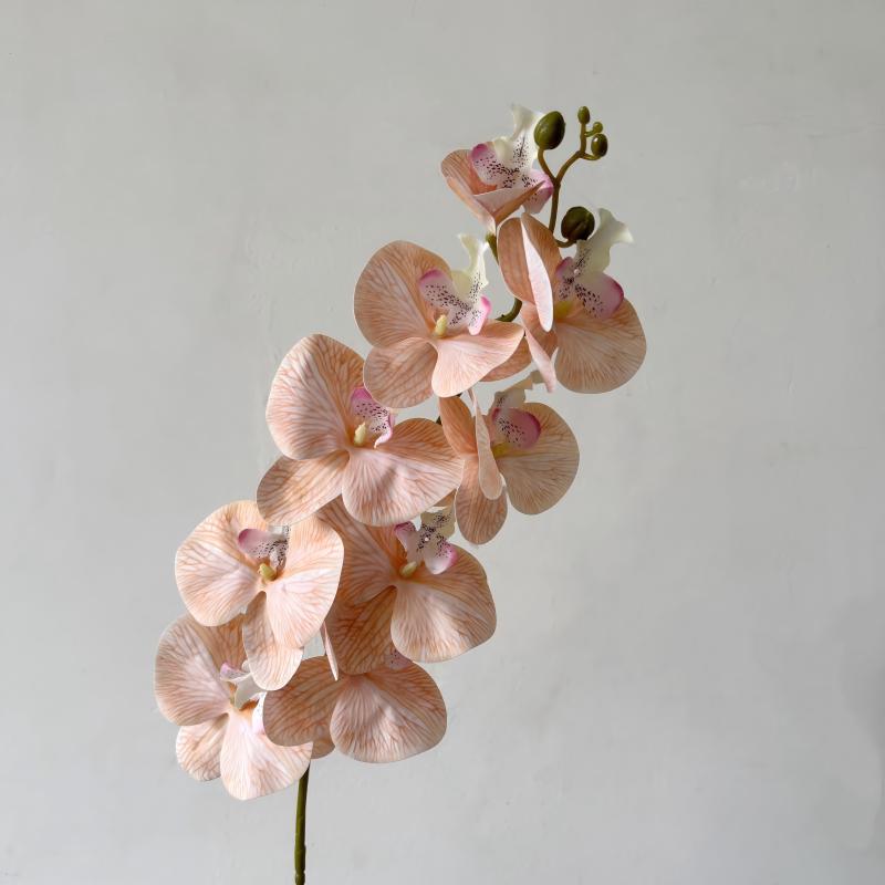 15-Beige