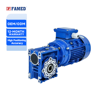 NMRV030高效蜗轮减速器，带0.06kw ~ 0.25kw电机，可多向安装 - Product Image 1