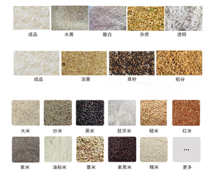 Máquina de clasificación de colores, herramienta de granulado para desinfección de granos y granos - Product Image 6