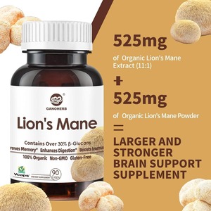 ODM doğal organik aslan Mane mantar kapsülleri Hericium Erinaceus vejetaryen ISO onaylı bitkisel özü takviyesi - Product Image 2