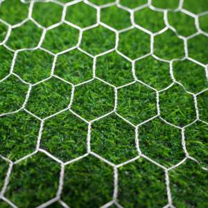 Mesh <span class=keywords><strong>Hexagonal</strong></span> <span class=keywords><strong>Netting</strong></span> Eisenzaun Lieferant Metallzaun Verzinkter Hühner draht
