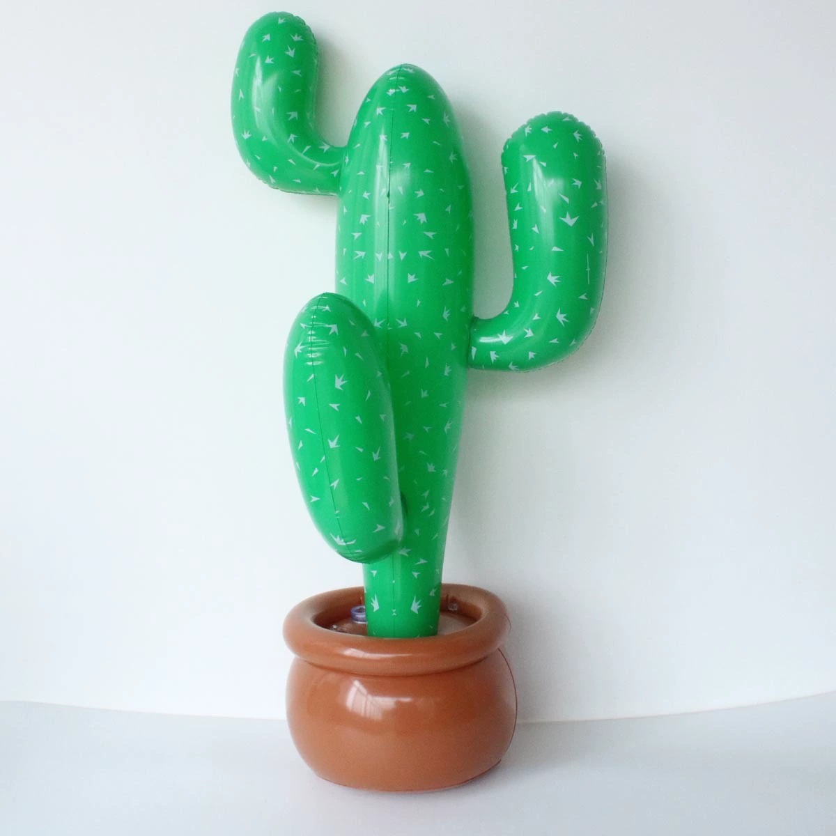 Certification Cactus-CE CPC