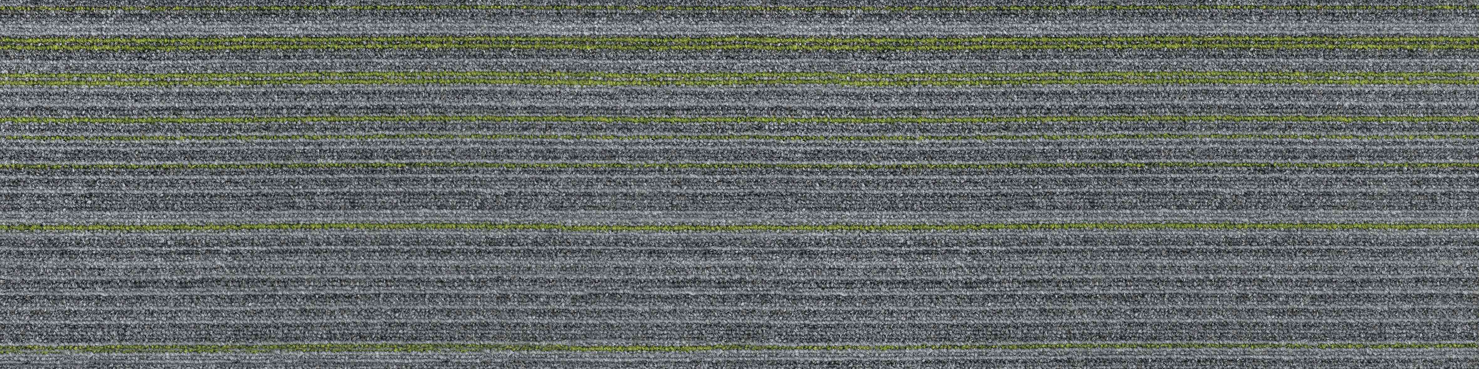 Gray6
