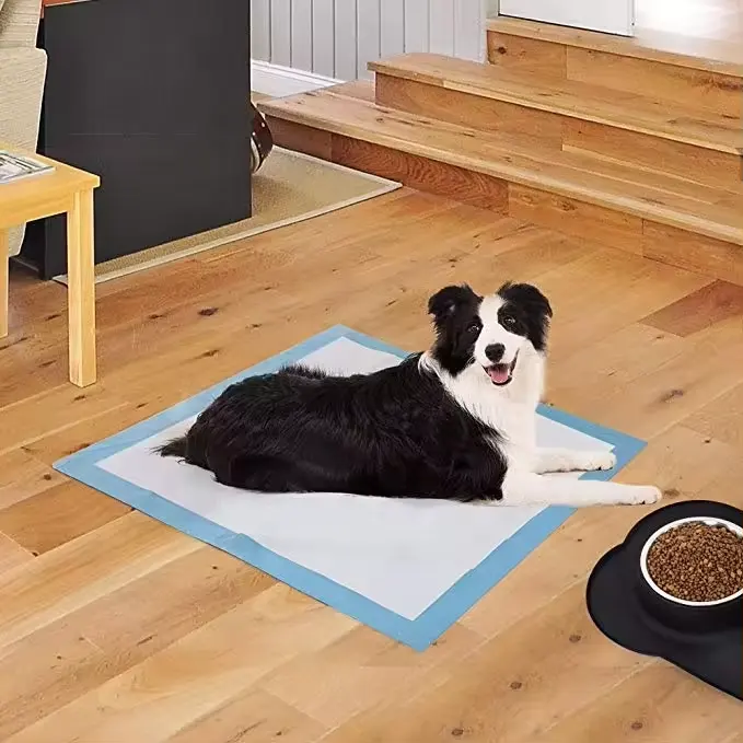 Impermeable portátil cachorro mascota perro Pee Mat almohadillas desechables con a prueba de fugas