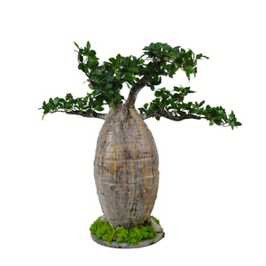 屋内屋外造園ビッグツリー人工バオバブツリーモンキーパンツリー家の屋内部屋の装飾 - Product Image 2