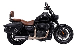 EEC認定250ccクルーズモーターサイクル大人用オープンボディ - Product Image 2