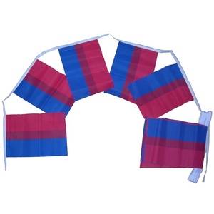 Nuevo fabricante de OEM de bunting banderín triángulo Bandera de cadena de - Product Image 5