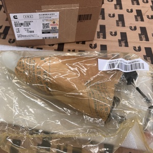 Inyector de combustible Cummins genuino QSM11 ISM11 4026222 4903472 4903319 4062851 3411845 3411754 3411756 para piezas de motor Cummins - Product Image 2