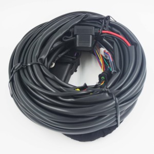 Venta al por mayor de arnés de cables para 3 4 cilindros automotriz CNG LPG Kit de conversión de gas Sistema de Control de inyección secuencial MP48 ECU Kit - Product Image 1