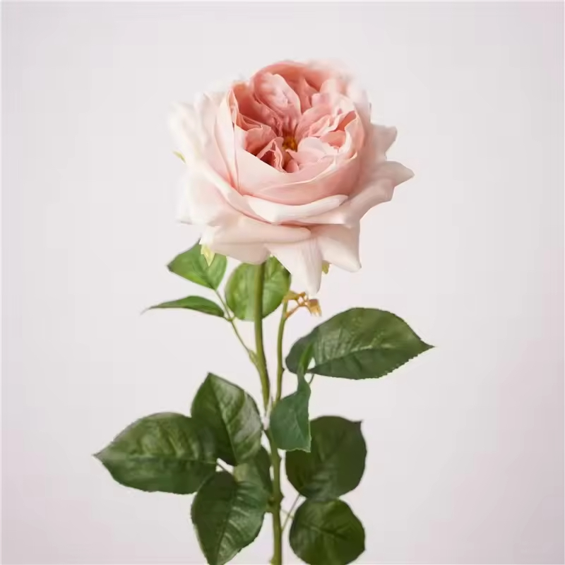Eau rose