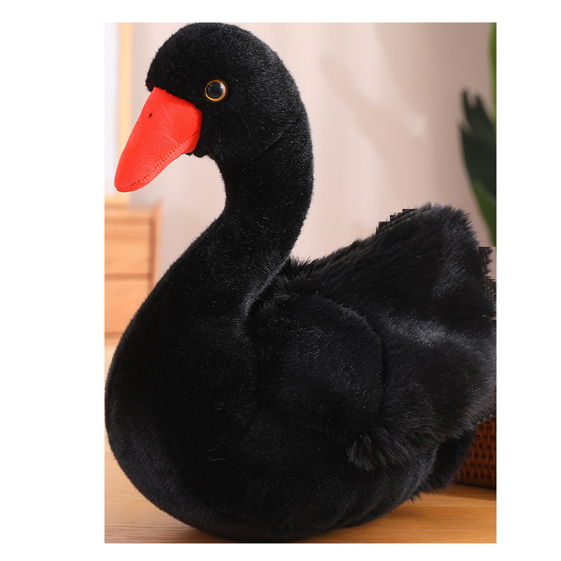 Cigno nero