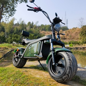 2000Wオランダ倉庫はゴルフバッグホルダー付き電気自動車をドロップシッピングします三輪電動ゴルフスクーター電動モビ