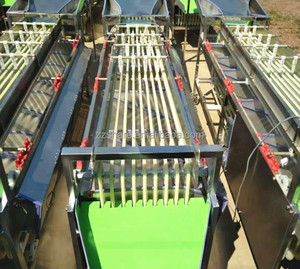 <strong>Automation</strong> Grading <strong>Machine</strong> Fruit Cherry Tomato Dragon <strong>Sorting</strong> <strong>Machine</strong> Adjustable Roller for Potato Tomato Grading - Product Image 2