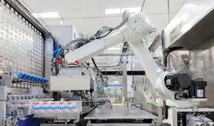 Braccio automatico del Robot di pallettizzazione carico 100kg per la scatola di cartone impilamento in magazzino, CE certificata - Product Image 5
