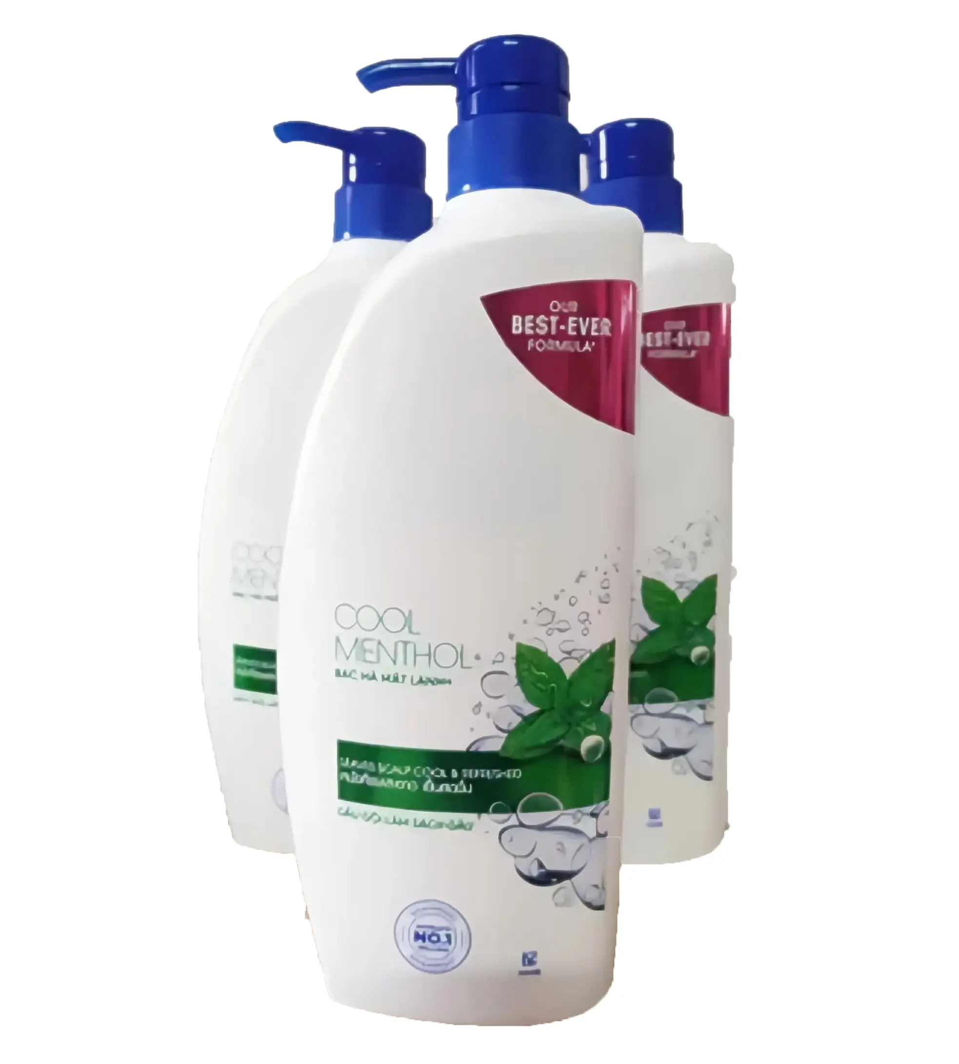 Venda quente clara Shampoo OEM personalizado Private Label Shampoo Profissional Anti-caspa Shampoo