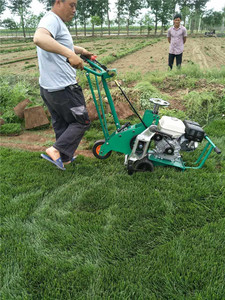 Hiệu quả cao tự động Lawn transplanter nhân tạo soạn thảo Máy bóng đá lĩnh vực Xanh <span class=keywords><strong>Turf</strong></span> transplanter - Product Image 4