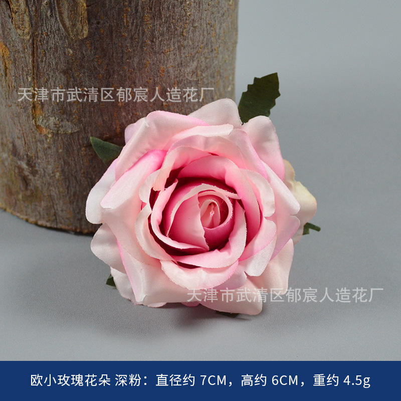 Poudre profonde de petite fleur de rose européenne