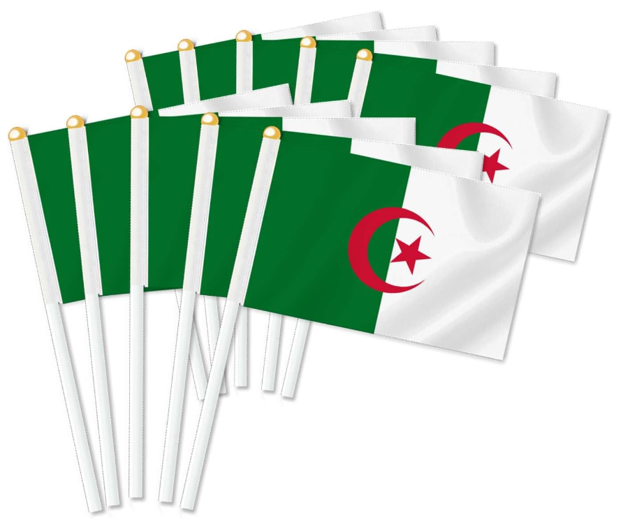 Drapeau de vague de main de l'Algérie