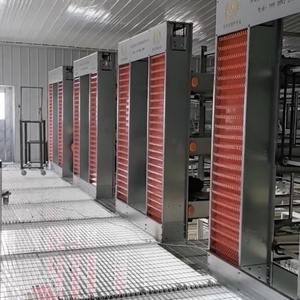 鶏鶏農場2025年全自動スチールH型動物用ケージ産卵鶏用養鶏設備 - Product Image 1