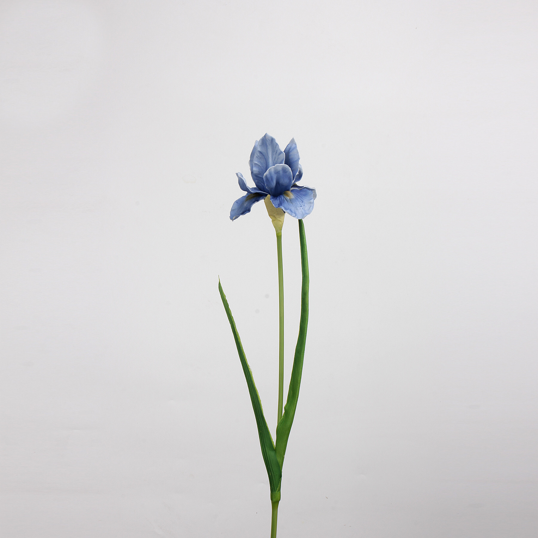 Azul claro