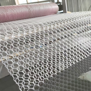 自動六角形リジッドネットメッシュ製造機PE PP HDPEプラスチックスクリューポンプギア製造工場使用 - Product Image 1